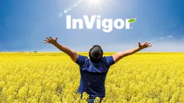 semences invigor